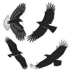 Obraz premium Four silhouettes of eagles in flight against a white background