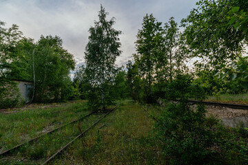 Old empty, forgotten railway overgrown by plants