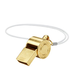 metal whistle isolated on white