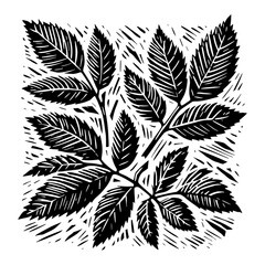 Black and White Outline Line Art Drawing Leaves Branches Foliage Woodcut Engraving Style Textured Pattern Botanical Nature