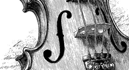 Vintage engraving style violin illustration for music themed design