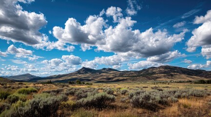 Open prairie landscape under a vast, cloudy sky