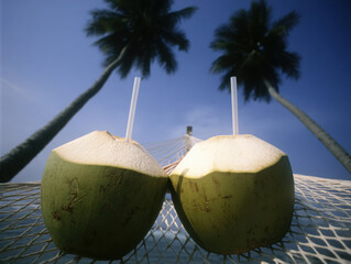 Couple relaxing on a hammock, enjoying coconut water on a tropical beach