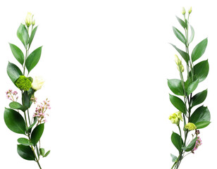 Elegant Floral Frame with Green Leaves and Delicate Flowers.