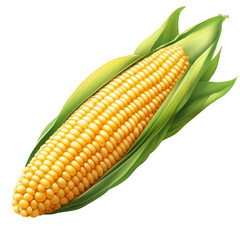 Yellow corn ear with green leaves