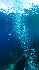 Underwater bubbles rising (1)