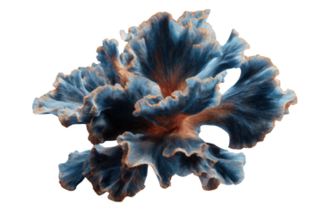 Abstract 3D rendering of a blue and orange coral-like structure against a transparent background. background removed