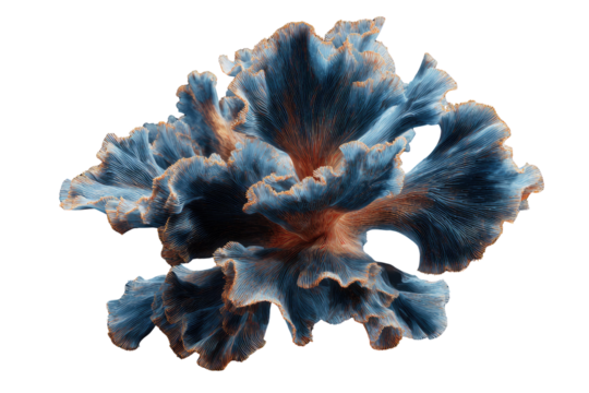 Abstract 3D rendering of a blue and orange coral-like structure against a transparent background. background removed