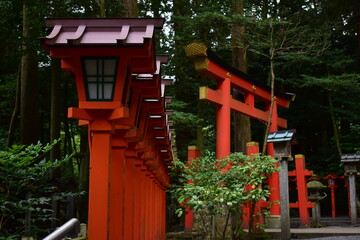三重　三重県　神社仏閣　神社　椿大神社