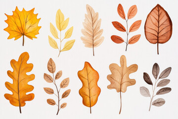 A collection of watercolor autumn leaves in warm yellow, orange, and brown tones arranged on a white background, showcasing delicate veins and natural textures for seasonal design and stock usage.