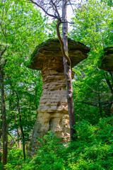 Fototapeta premium Stand Rock at Wisconsin Dells