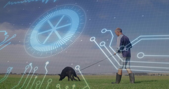Walking man holding leash, large black dog sniffing on field, circuit interface overlay, copy space - Powered by Adobe