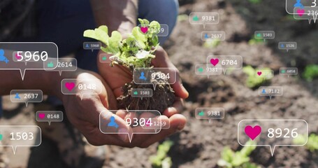 Holding hands wearing blue work shirt cradling seedling in garden bed, floating social media icons
