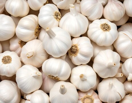 Close-up of many whole garlic bulbs