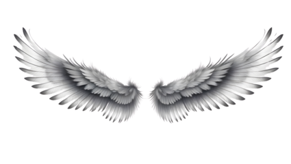 Majestic Silver Angel Wings on Transparent Background for Creative Projects