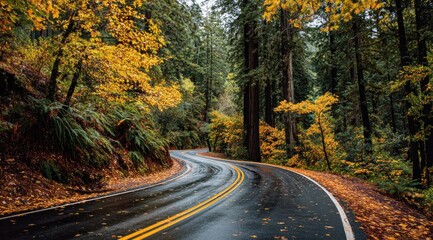 Winding road through a vibrant autumn forest