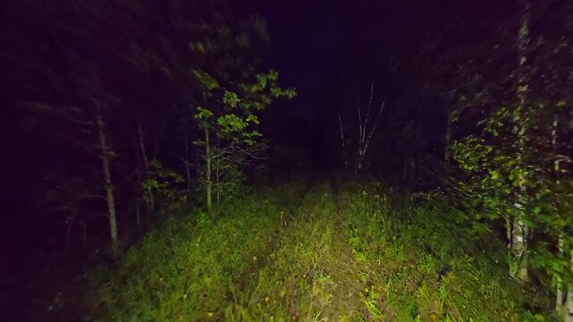 POV walking in dense woods at night in fear. Running from in the dark forest woodland trail. Escape in scary dark mysterious forest or haunted forest. Halloween horror background.
