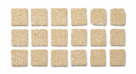 Array of Fresh Tempeh Squares Isolated on White Background, Perfect for Illustrating Vegan Recipes, Healthy Eating, and Sustainable Food Choices