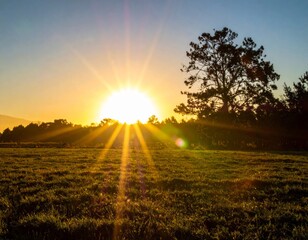 Sunburst Over Green Meadow with Silhouette of Tree at Dusk in Golden Hour Landscape