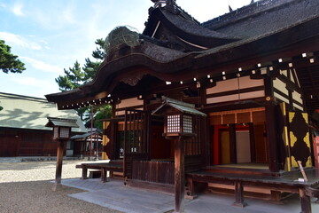 Fototapeta premium 大阪 神社仏閣 住吉大社