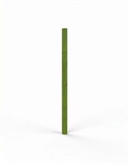 Green Bamboo Cane Isolated Against White Background in Studio Lighting