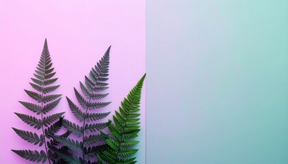 Dark Green and Light Green Fern Leaves on Pink and Teal Background