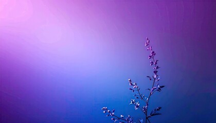 Delicate Purple Flower Branch Against a Blue Gradient Background