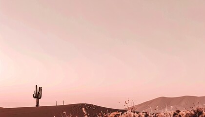 Desert Landscape at Sunset with Cactus