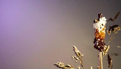 Dried Flower with Saffron to Chestnut Gradient Under Buttery Light