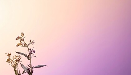 Dried Flower Branch Against Pastel Pink and Orange Gradient Background