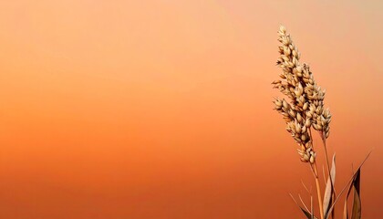 Obraz premium Dried Plant Against a Warm Orange Sunset