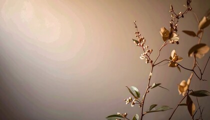 Dried Plant Branch with Beige Leaves Against a Neutral Background