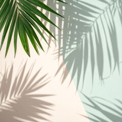 Fototapeta premium Palm Leaf Frond Casting Shadows on Split Tone Light Pink and Light Green Background