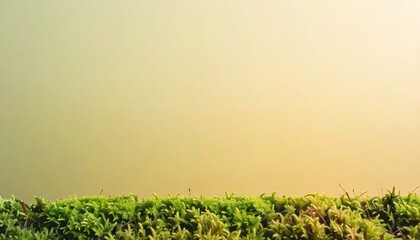 Naklejka premium Green Moss Texture Against Soft Yellow Gradient Background