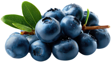 Succulent Blueberry Cluster: A close-up capture of a cluster of plump, juicy blueberries, their vibrant blue hue contrasting beautifully with the fresh green leaves and stems, evoking freshness.