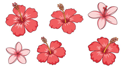 vibrant hibiscus flowers in various shades of pink and red