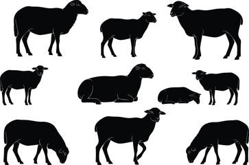 Silhouettes of sheep in various poses including standing, grazing, and resting, perfect for farm, livestock, agriculture, and rural themes.