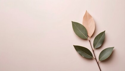 Pastel Leaves on Neutral Background
