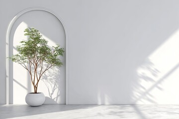 Minimalist interior scene with plant and arch