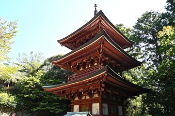 医王山 油山寺の三重塔