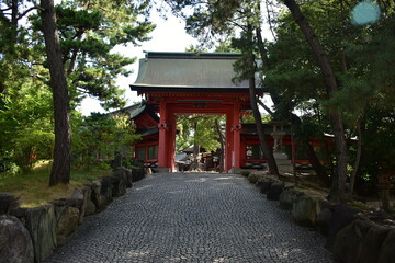 Obraz premium 大阪 神社仏閣 住吉大社