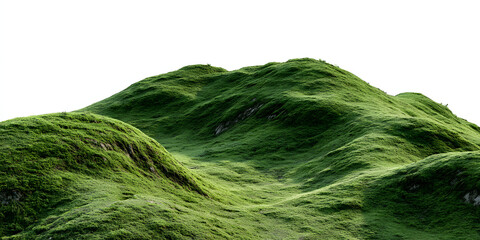 Obraz premium Isolated Green Hill Vector on White Background