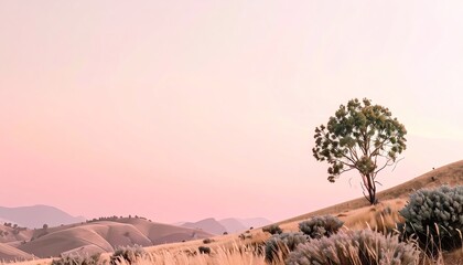 Solitary Tree on Rolling Hills at Sunset