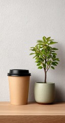 Plant and Beverage on Wooden Surface