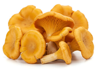 Close-up display of Golden Chanterelle mushrooms, highlighting their vibrant color and intricate gill structure on a plain white backdrop, enhancing their visual appeal.