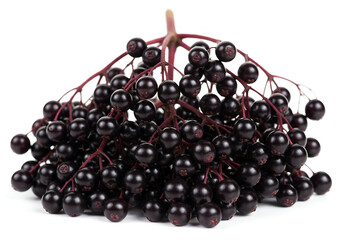 Abundant cluster of fresh dark purple berries, a captivating botanical composition showcasing the beauty of nature's bounty, isolated against a white background.