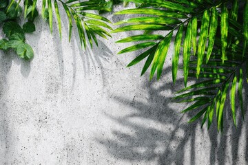 Greenery casts shadows on a light gray textured wall
