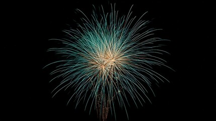 Fototapeta premium A burst of teal and gold fireworks explodes in the dark night sky, creating a beautiful display of light and color for celebration and enjoyment.