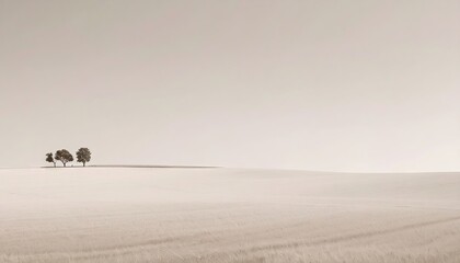 Two Trees on a Wide Open Sepia Field