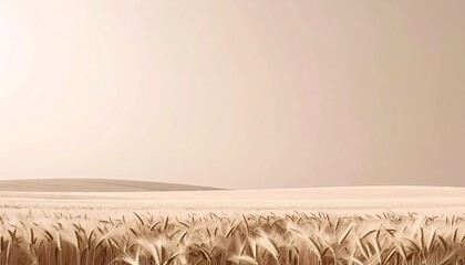 Wheat Field at Sunset, Beige Tones, Low Contrast